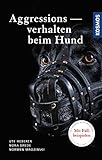 Aggressionsverhalten beim Hund