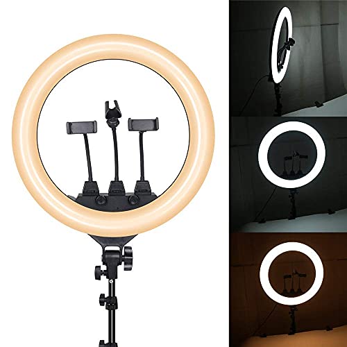 FACAZ Kamera Foto Video Beleuchtungsset 22 Zoll LED Ring Fülllicht Handy Live Support Selfie Beauty Ring Fotografie Foto… – Bild 4