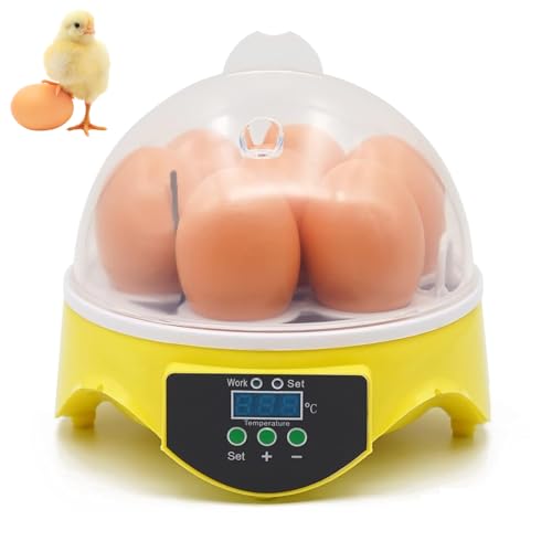 Incubateur d'œufs avec contrôle de la température LED et rotation