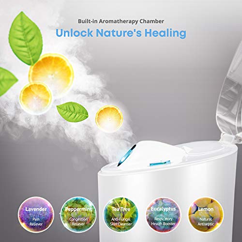 NanoSteamer PRO Professional 4-in-1 Nano Ionic Facial Steamer for Spas - 30 Min Steam Time - Humidifier - Unclogs Pores - Blackheads - Spa Quality - 5 Piece Stainless Steel Skin Kit Included