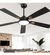 Curve Curio 52 Inch Ceiling Fan with Lights, Black and Gold Large Modern Ceiling Fan with Remote ...