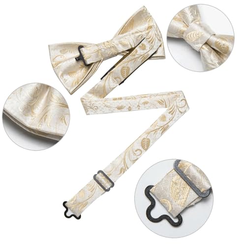 Set de corbata de moño y pañuelo de seda miniatura 3