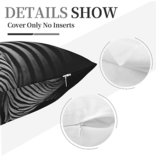 Varun Throw Pillow Covers Cute Zebra Square Pillowcases For Home Decor Sofa Car Bedroom Wild Animal Black White Stripes Design Dark Background Print Pillow Cases 18X18Inch #TOP5