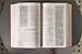 NIV, Quest Study Bible for Teens, Leathersoft, Coral, Comfort Print: The Question and Answer Bible