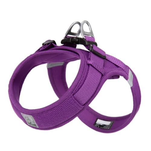 Juvendy K㗝X Truelove ybgn[lX ^^p ʋC iCbV XXS Purple COH꒼