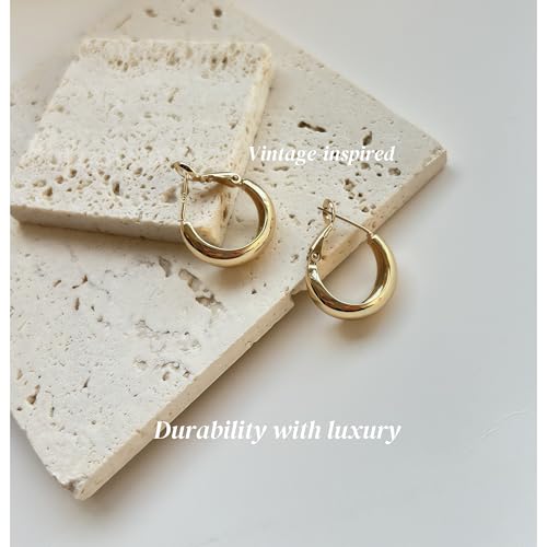 14K Real Gold Plated Hoop Earrings for Women,Small Gold Hoop Earrings for Women, Hypoallergenic 925 Sterling Silver Post, Lightweight Exquisite Wife Earring Mother Gift3