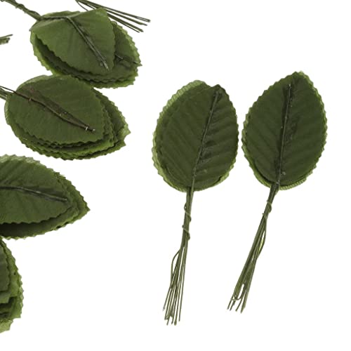 Cutefly SamGreatWorld pseudoleaf, Acrylic