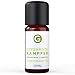 Produktbild Kampfer Öl 10ml - 100% naturreines, ätherisches Öl von greenmade