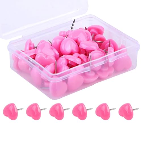 100 n[g^vbVsP[XtItBXfpJtvbVs}bvsRN{[hp킢n[g^fUC