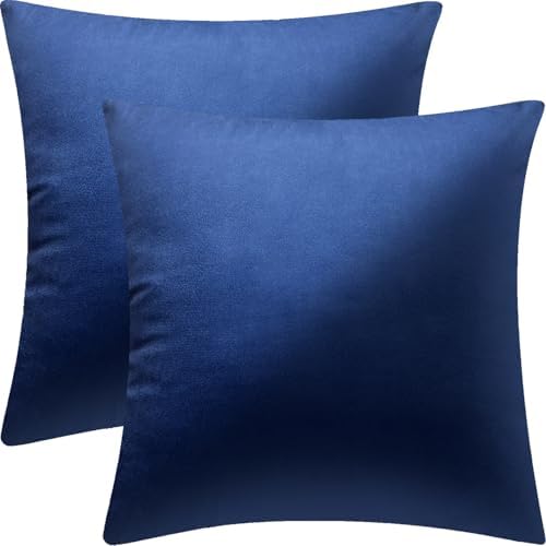 2 Pack 18x18 Pillow Cover Velvet Pillow Covers, Square Throw Pill...