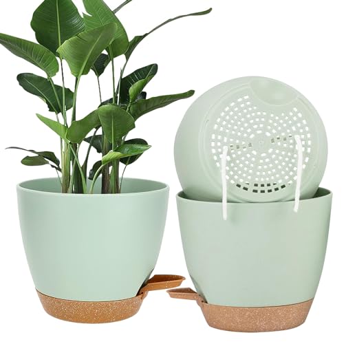 Accmuzzy 20cm Plant Pots Indoor,3pcs Self Watering Plant Pots,House Indoor Plant Pot,Large Flower Orchid Plant Pots with Holes,Plastic House Inside Plant Pot Planters with Saucer (Green)