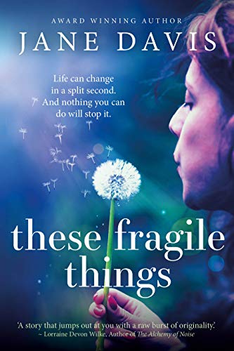 These Fragile Things: Life can change in a spilt second. And nothing you can do will stop it.