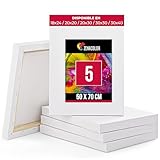 KIT DE PINTURA 5 LIENZOS PARA PINTAR - El kit Zenacolor contiene un pack de 5 canvas lienzo de 50x70 para que puedas trabajar en varios proyectos a la vez o tener una pequeña reserva. ¡Nunca vuelvas a quedarte sin lienzo para pintar!