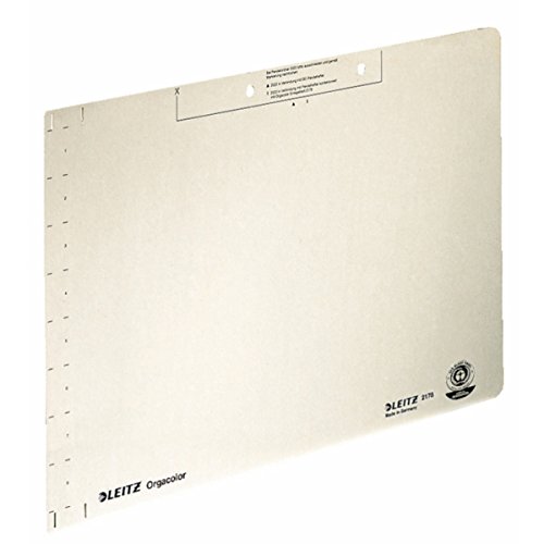 Esselte Leitz einlege fogli Orgacolor®, in cartoncino Kraft Chamois