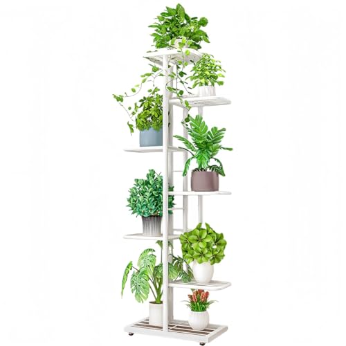 KUBERAS �ԉ� �K�[�f�j���O���b�N �A�ؔ��X�^���h ���[ ���� �k���� ������� ����/���O���p �ƒ�p �x�����_ �������b�N �A�C�A�������r���O�p�V���v�����i�ԑ� 4�i/5�i/6�i/7�i/8�i (7 �i 8 ��,�z���C�g)