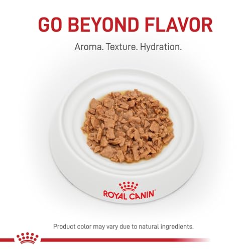 Royal Canin Feline Health Nutrition Indoor 7+ Mature Morsels in Gravy Cat Food, 3 oz (Pack of 24)