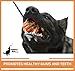 Nero Ball Pro K-9 Dog Training Ball on Rope – 2.75″ Heavy-Duty Natural Rubber Reward & Tug Toy with Nylon Throw Handle – High-Visibility Orange – Police, Military & Sport Working Dogs Fetch