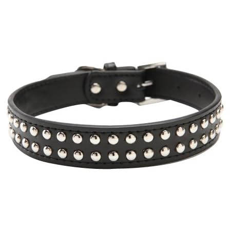 leather studded dog collar