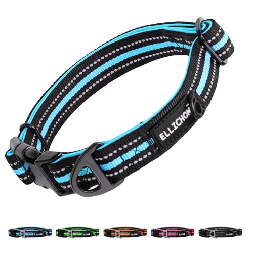 Collar Reflectante para Perro Azul Talla L