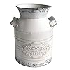   MISIXILE-Vintage-Farmhouse-VaseMetal-Galvanized-Milk-CanShabby-Chic-Flowers-Jug-Vase-Country-Rustic-Decorative-Buckets-Home-Decor-Planter-Vase-with-Handle