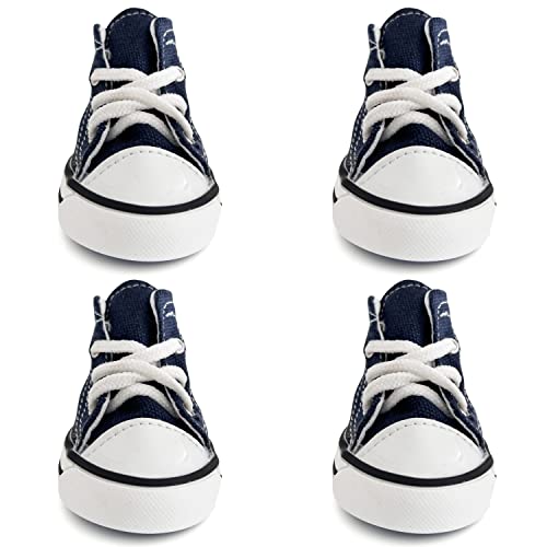 Dog Sneakers The 15 best products compared Wild Explained