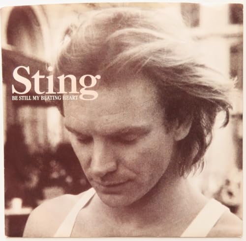 be still my beating heart / ghost in the strand 45 rpm single - Vinyl release thumbnail