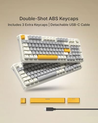 Image of RAEGR MechGear X100 Mechanical Gaming Keyboard, 98 Keys Compact Full Size, Rainbow Backlit, Hot-Swappable Switches, Multi-Function Volume Knob with Detachable Cable - RG10597 Retro White /Grey