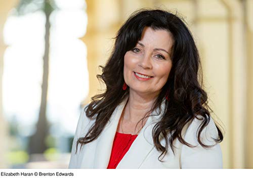 Der Glanz des Südsterns: Roman