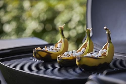 Weber Q2000 Gasgrill, 54 x 39cm Grillfäche, portabler BBQ Grill, 1 Brenner, mit ausklappbaren Seitentischen, 2-geteilter porzellanemaillierter Guss-Grillrost - Schwarz (53010079)