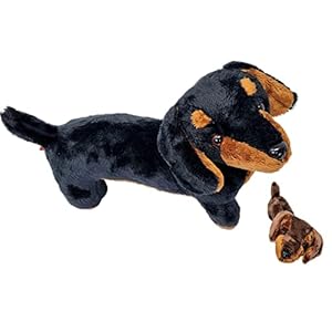 30cm Sausage Dog Teddy