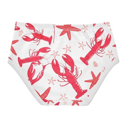 Red Lobsters Starfish Toddler Girls's Underwear 2T 202c18492