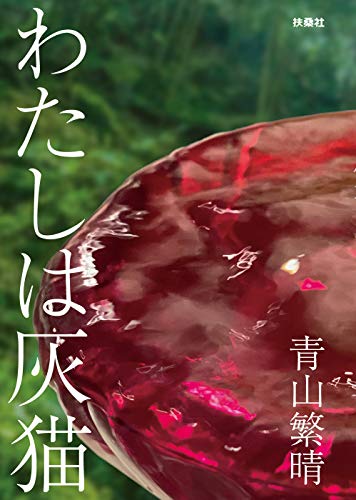 わたしは灰猫 (扶桑社ＢＯＯＫＳ)