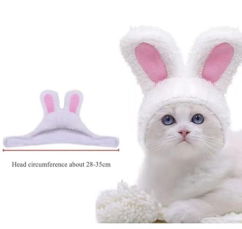 Orelhas de coelho de gato, orelhas de coelho de pelúcia, chapéu de coelho fofo para gato, chapéu de