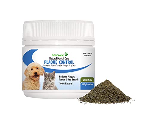 cat dental supplements