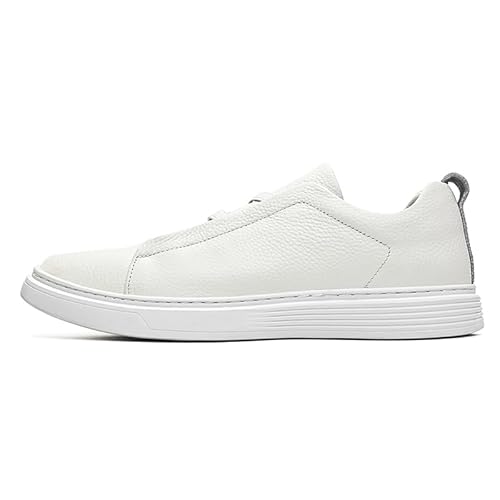 [XCGFJHKKP] Y JWAV[Y X|[c jOV[Y AEghA Xj[J[ ʋC ^C EH[LO g[jO WMO C y  lC h L l ʋ ʊw 풅p (zCg, l, 24.0 