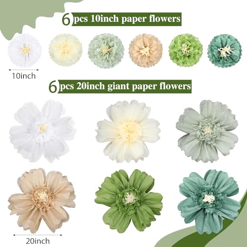 Image of Crowye 12 Pcs Large Colorful Tissue Paper Flowers Decorations Giant Fiesta Craft Crepe Paper Flowers for Wall Decor Backdrop Mexican Wedding Birthday Carnival School Party (10'' 20'',Green Color)