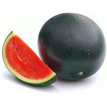 Sugar Baby Watermelon Seeds,50 Count COOL BEANS N SPROUTS Brand. Heirloom. Non-GMO. Home Gardening.