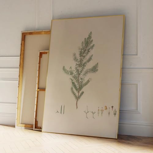 Tableau moderne sur toile poster plante deco murale minimaliste salon 21x30