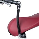 Original Protección Anti Robos Vespa Primavera / Sprint - Estándar