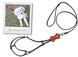Guinzaglio con pettorina HELLO SPANK PET COLLECTION GUINZAGLIO PELLE