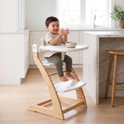 Image of Fornel Baby Set for 6-36 Months Babies with Backrest, Tray and Tray Cover to Convert The Fornel Chair into a Comfortable High Chair Includes Gliders and Harness