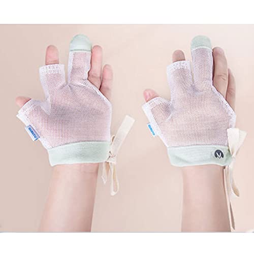 w Ԃ h~ xr[ł߃VR/ xr[~g-_炩KCSŖC}`tBK[RP[V-6?12̐ԂɓKĂ܂Ђh~ ɗD    xri΁j (Size : G)