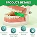 20 Stück Aligner Chewies, Grün Kieferorthopädische Kauartikel Wiederverwendbar Aligner Tablett Sitzer Minzduft Chewies Waschbar Aligner Chompers für Zahnspangen Unsichtbare Zahnspange beißt