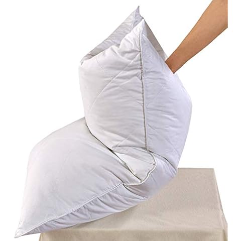 Set of 2 White Goose Feather Bed Pillows - 600 Thread Count Egyptian Cotton, Medium Firm,Soft Support Queen Size,White Solid (Queen Size:2 Pillows) Cover