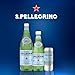 S.Pellegrino Sparkling Natural Mineral Water, Plastic Bottles, 16.9 Fl Oz (Pack of 12)