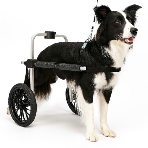 Cadeira de Rodas para Cachorro de Médio/Grande Porte Off Road Pet Best Soluções