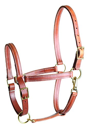 Perri's Value Work Halter, Chestnut, 7/8" Horse #TOP23