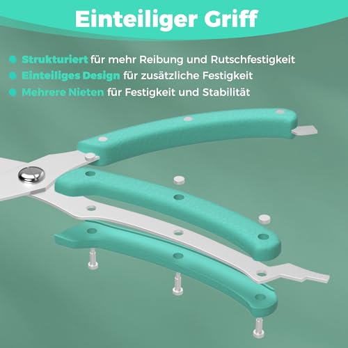 HAUSHOF Geflügelschere 255 mm, robuste scharfe Küchenschere aus Edelstahl, Fleischschere für Fleisch, Huhn, Fisch, Knochen, Gemüse – Ansicht 6