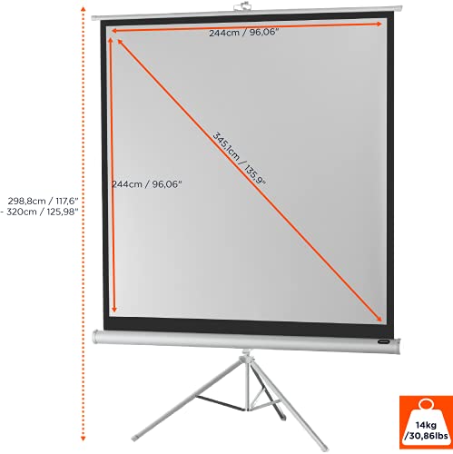 celexon Economy Stativ-Leinwand wei&szlig; 135 | 244x244 cm 1:1 | mobil transportable 4K, Full-HD Beamerleinwand mit manuellem Rollauszug f&uuml;r Heimkino, B&uuml;ro & Outdoor | inkl. Standfu&szlig; + Tragegriff