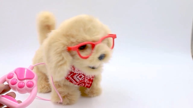 Petit Chien Qui Marche Noisette Chien En Peluche Qui Marche Et Aboie Petit Chien Qui Marche Noisette Chien En Peluche Qui Marche Et Aboie